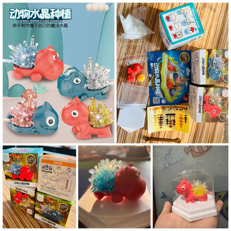 現貨-開發票-科學 DIY 化學實驗原理 動物水晶種植 成型 STEAM 科學 教具 玩具 安全無毒 自然科學-細節圖2