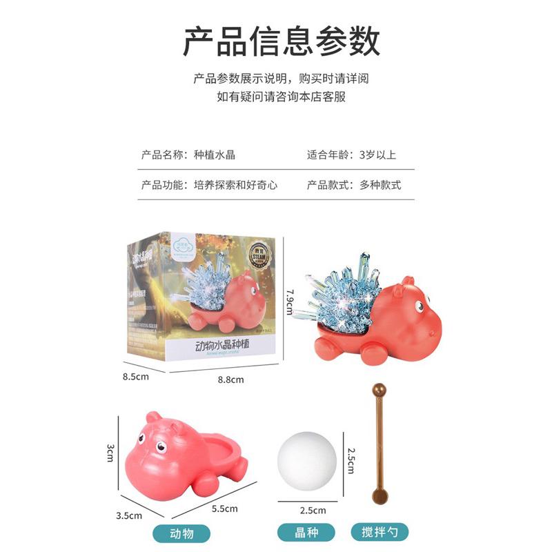 現貨-開發票-科學 DIY 化學實驗原理 動物水晶種植 成型 STEAM 科學 教具 玩具 安全無毒 自然科學-細節圖6