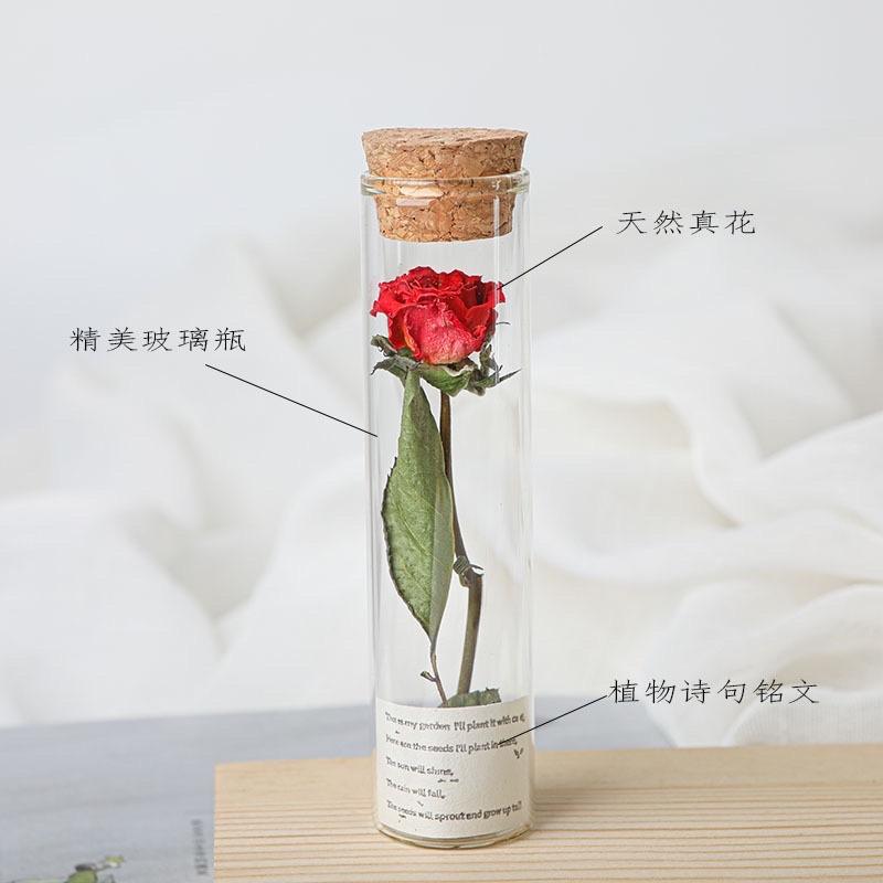 試管玫瑰花/小王子玫瑰花/永生花/玻璃試管乾花束永生花許願瓶 婚禮小物 畢業生日禮物 美女與野獸玫瑰-細節圖3