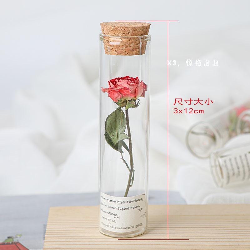 試管玫瑰花/小王子玫瑰花/永生花/玻璃試管乾花束永生花許願瓶 婚禮小物 畢業生日禮物 美女與野獸玫瑰-細節圖4