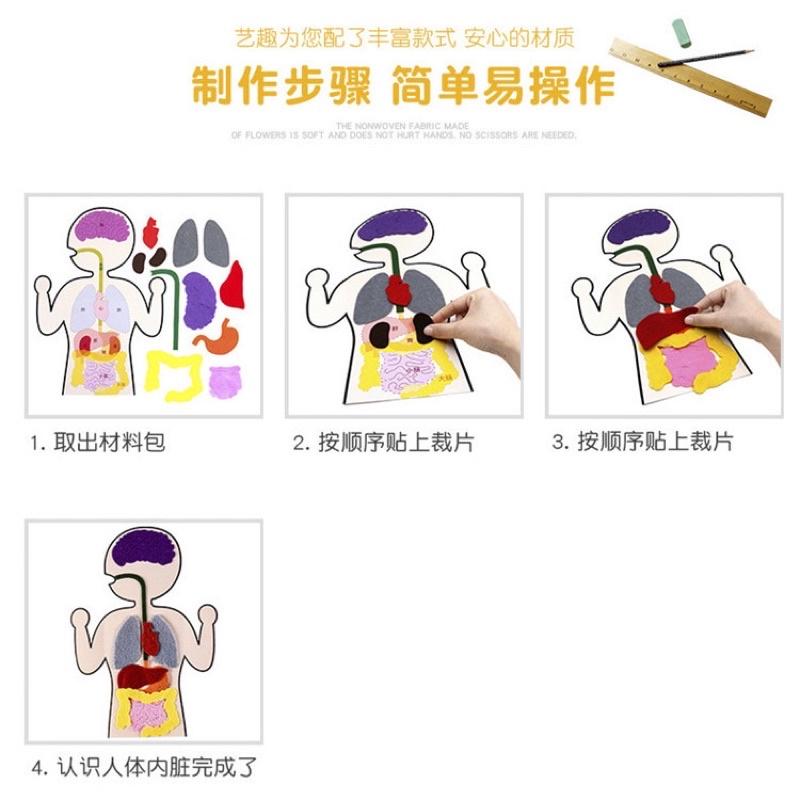 人體內臟教具 創意兒童不織布手工diy製作材料包中英文認知手工 diy材料包-細節圖2