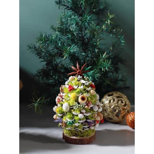 台灣預購🌟聖誕松果樹diy 走心手禮物～手工DIY乾花材料包 乾燥花 永生花 聖誕樹Diy材料包-細節圖4