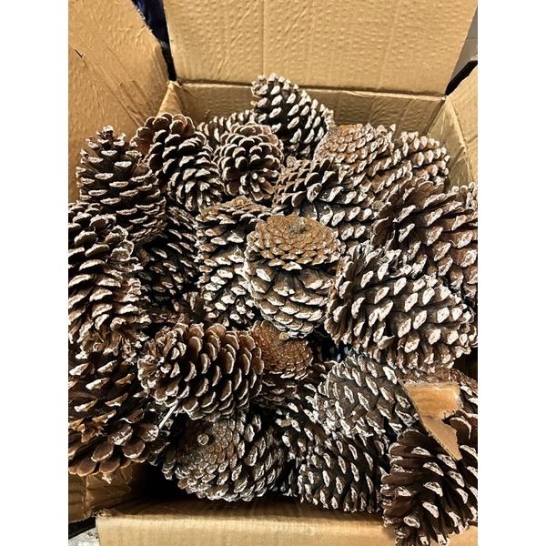 台灣預購🌟聖誕松果樹diy 走心手禮物～手工DIY乾花材料包 乾燥花 永生花 聖誕樹Diy材料包-細節圖8