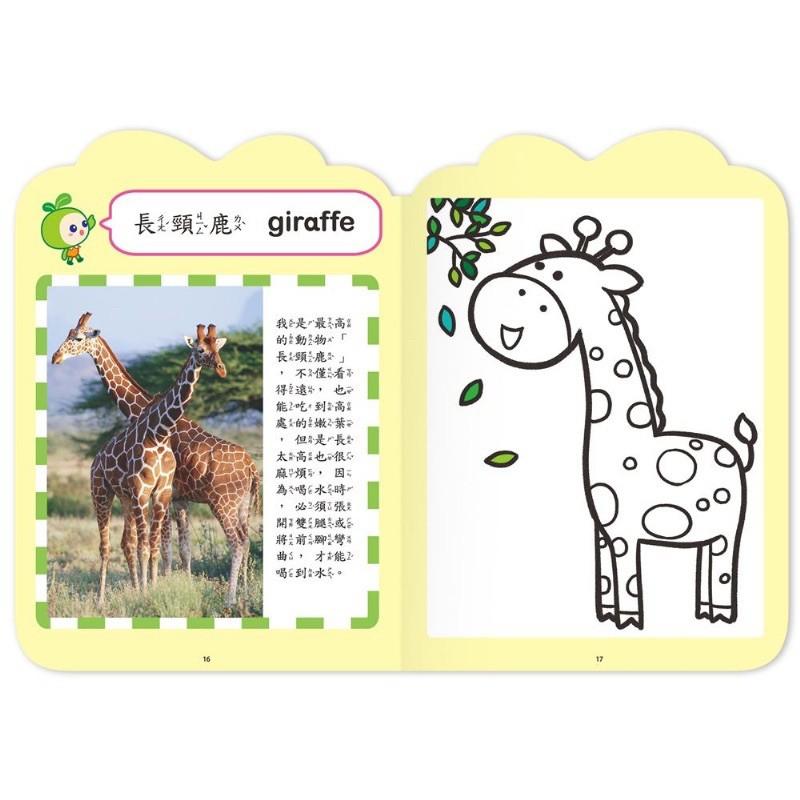 台灣童書-四冊一套的價錢/幼稚園abc,123,ㄅㄆㄇ/測驗卷/大班中班小班優越出版社-小種籽習寫本 幼稚園練習本-細節圖7