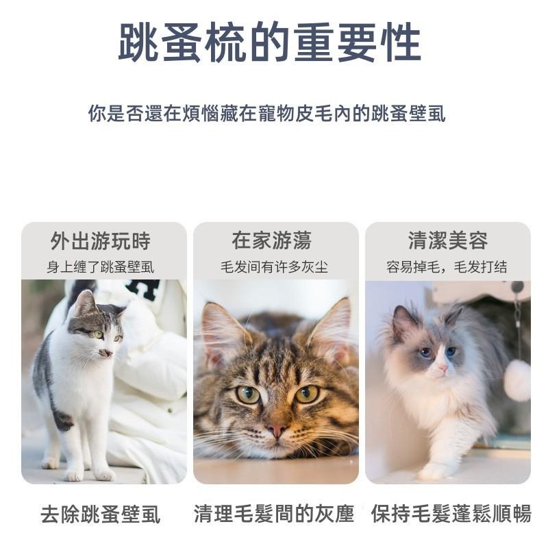 🔴台灣現貨+發票 寵物除蚤梳 貓狗除蚤梳 跳蚤梳 寵物梳子 臉毛梳 眼角梳 密齒梳 排梳 除蚤梳 寵物用品-細節圖7