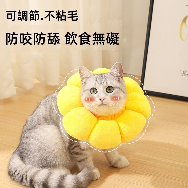 🔴台灣現貨+發票 寵物伊麗莎白項圈頭套 太陽花 防舔防咬 羞恥圈 貓狗通用 防舔咬頭套 寵物頭套 寵物羞恥圈-細節圖3