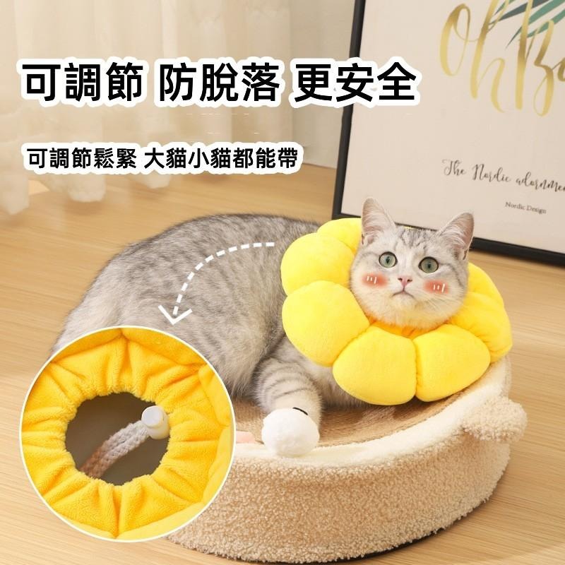 🔴台灣現貨+發票 寵物伊麗莎白項圈頭套 太陽花 防舔防咬 羞恥圈 貓狗通用 防舔咬頭套 寵物頭套 寵物羞恥圈-細節圖4