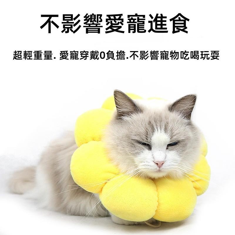 🔴台灣現貨+發票 寵物伊麗莎白項圈頭套 太陽花 防舔防咬 羞恥圈 貓狗通用 防舔咬頭套 寵物頭套 寵物羞恥圈-細節圖5