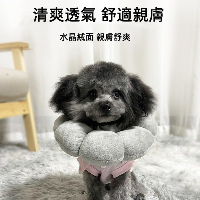 🔴台灣現貨+發票 寵物伊麗莎白項圈頭套 太陽花 防舔防咬 羞恥圈 貓狗通用 防舔咬頭套 寵物頭套 寵物羞恥圈-細節圖6