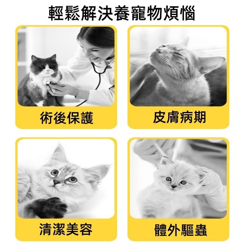 🔴台灣現貨+發票 寵物伊麗莎白項圈頭套 太陽花 防舔防咬 羞恥圈 貓狗通用 防舔咬頭套 寵物頭套 寵物羞恥圈-細節圖7