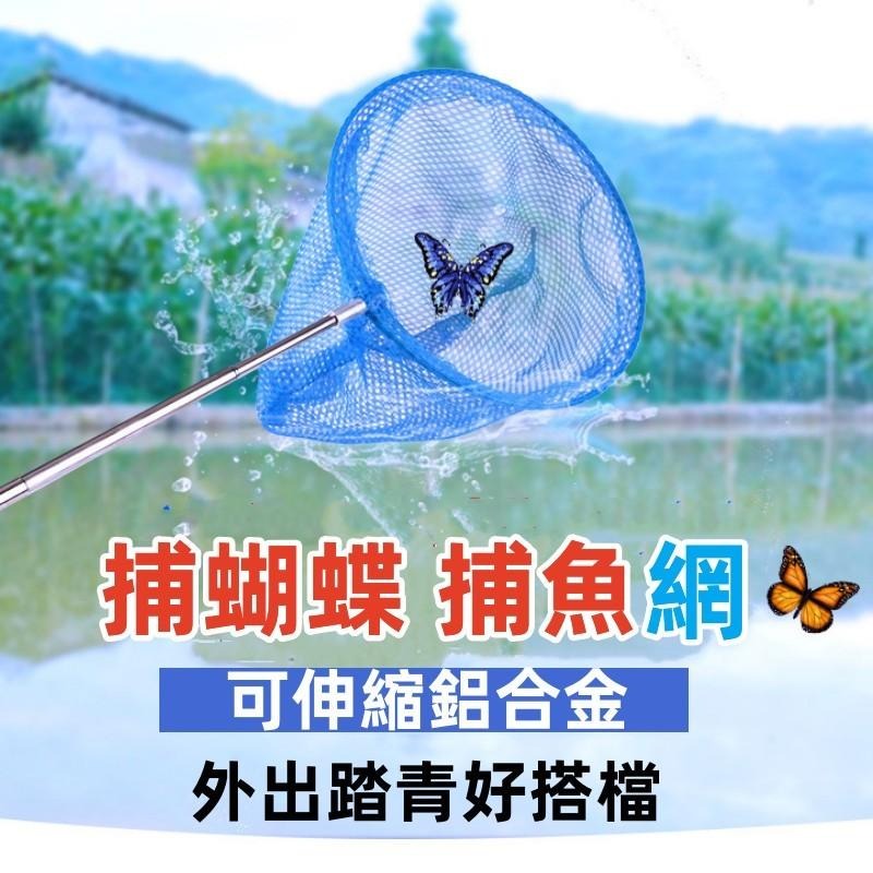 🔴台灣現貨+發票 五節伸縮捕蟲網 圓型撈魚網 戶外昆蟲網 捕蝴蝶 捕蝶網 抓蝦網 不銹鋼伸縮撈網 漁網 撈魚網子 漁具-細節圖3