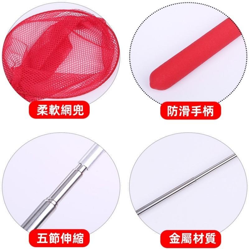 🔴台灣現貨+發票 五節伸縮捕蟲網 圓型撈魚網 戶外昆蟲網 捕蝴蝶 捕蝶網 抓蝦網 不銹鋼伸縮撈網 漁網 撈魚網子 漁具-細節圖7