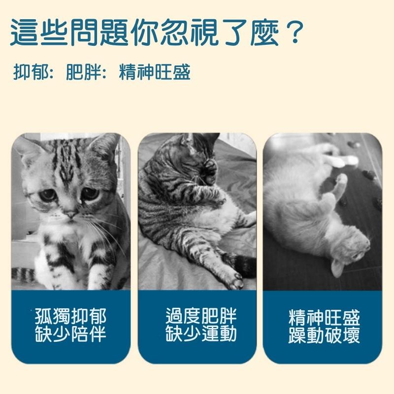 🔴現貨 貓咪劍麻球玩具 劍麻球 劍麻老鼠 貓咪解壓玩具 貓咪耐咬磨爪互動玩具 貓抓球 球形玩具 寵物玩具 寵物用品-細節圖8