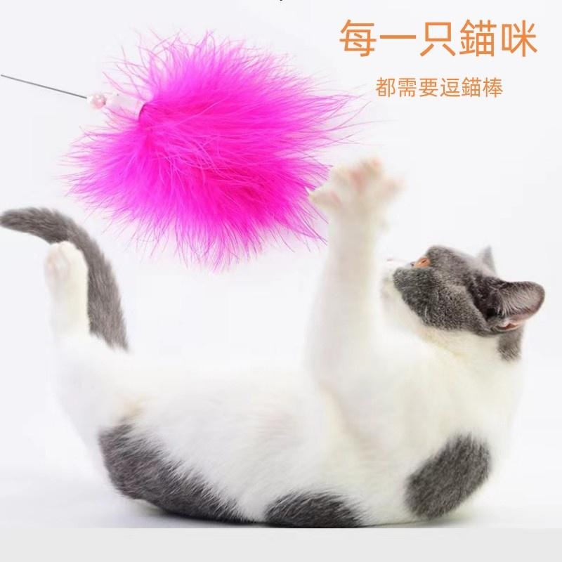 🔴現貨 吸盤式帶彈簧毛絨羽毛 吸盤羽毛鈴鐺 貓玩具 羽毛玩具 逗貓棒 貓玩具 寵物-細節圖4