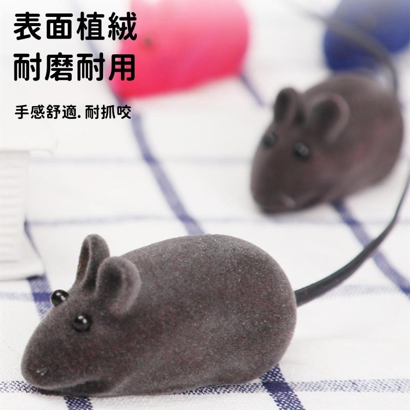 🔴現貨 絨毛老鼠 發聲小老鼠 小老鼠發聲貓玩具 響笛小老鼠 發聲鼠 橡膠植絨小老鼠 發聲玩具 逗貓玩具-細節圖3