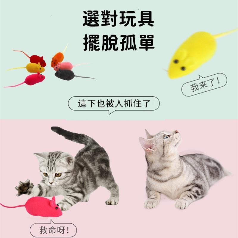 🔴現貨 絨毛老鼠 發聲小老鼠 小老鼠發聲貓玩具 響笛小老鼠 發聲鼠 橡膠植絨小老鼠 發聲玩具 逗貓玩具-細節圖4