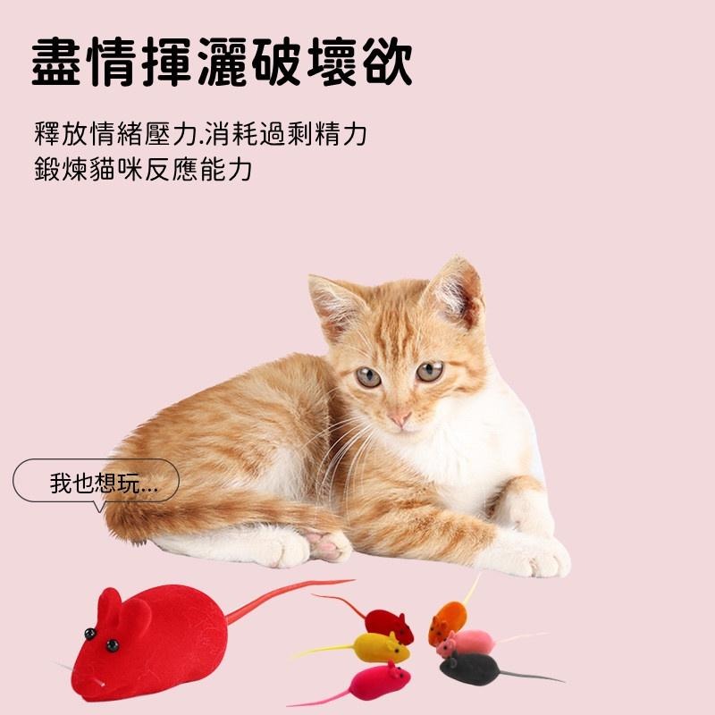 🔴現貨 絨毛老鼠 發聲小老鼠 小老鼠發聲貓玩具 響笛小老鼠 發聲鼠 橡膠植絨小老鼠 發聲玩具 逗貓玩具-細節圖6