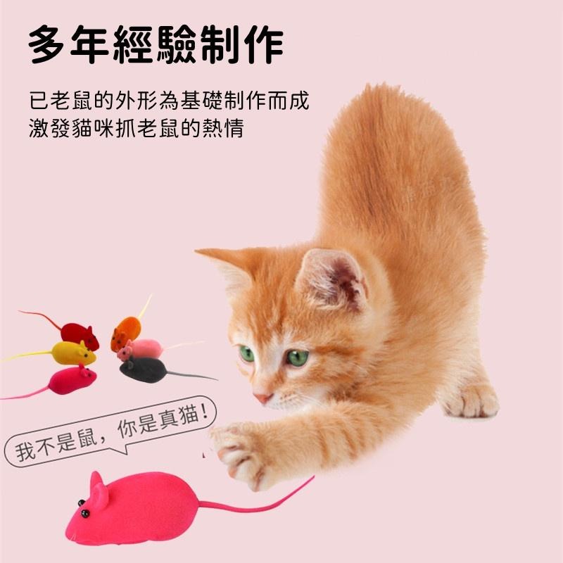 🔴現貨 絨毛老鼠 發聲小老鼠 小老鼠發聲貓玩具 響笛小老鼠 發聲鼠 橡膠植絨小老鼠 發聲玩具 逗貓玩具-細節圖7