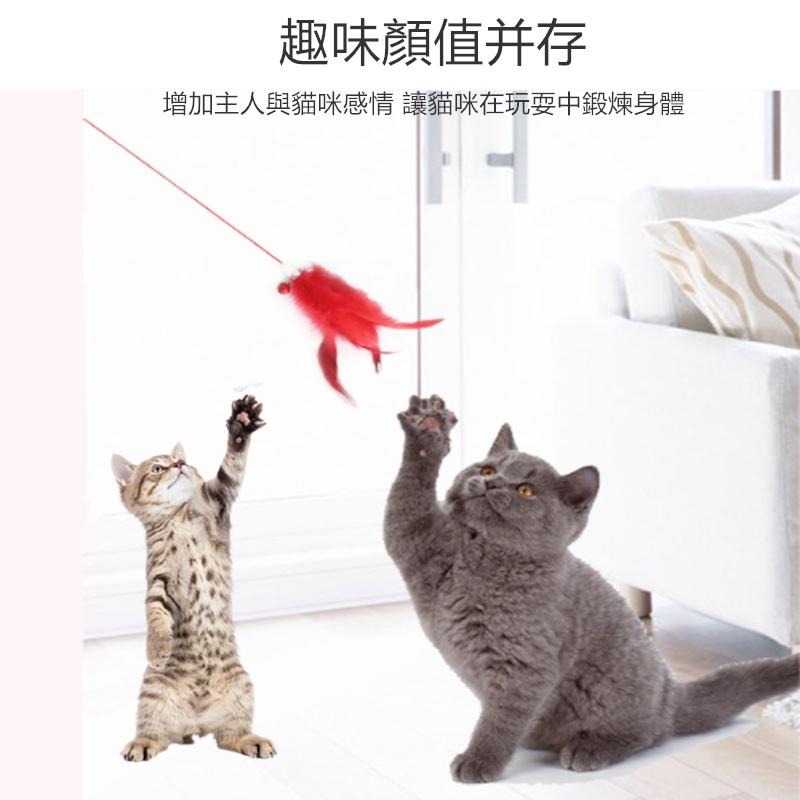 🔴現貨【逗貓棒】鋼絲羽毛鈴鐺逗貓棒 鈴鐺逗貓棒 鈴鐺逗貓棒 逗貓玩具 逗貓棒 貓玩具 寵物用品 寵物玩具-細節圖3