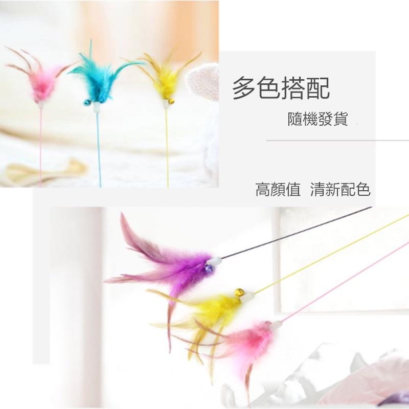 🔴現貨【逗貓棒】鋼絲羽毛鈴鐺逗貓棒 鈴鐺逗貓棒 鈴鐺逗貓棒 逗貓玩具 逗貓棒 貓玩具 寵物用品 寵物玩具-細節圖4
