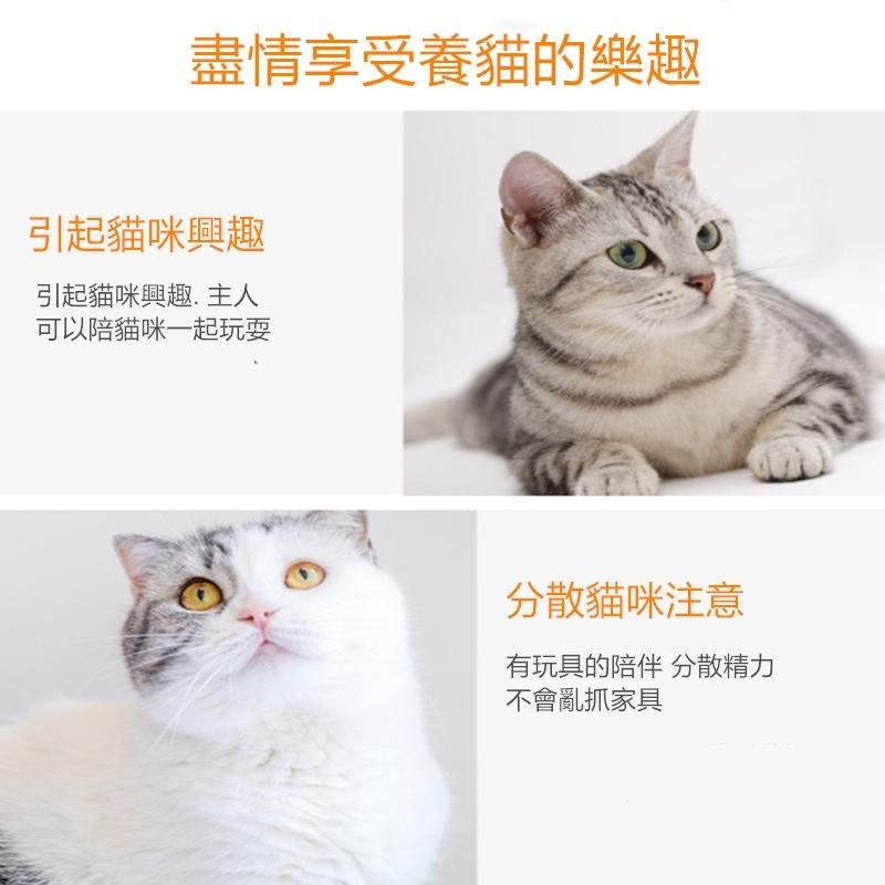 🔴現貨【逗貓棒】鋼絲羽毛鈴鐺逗貓棒 鈴鐺逗貓棒 鈴鐺逗貓棒 逗貓玩具 逗貓棒 貓玩具 寵物用品 寵物玩具-細節圖5