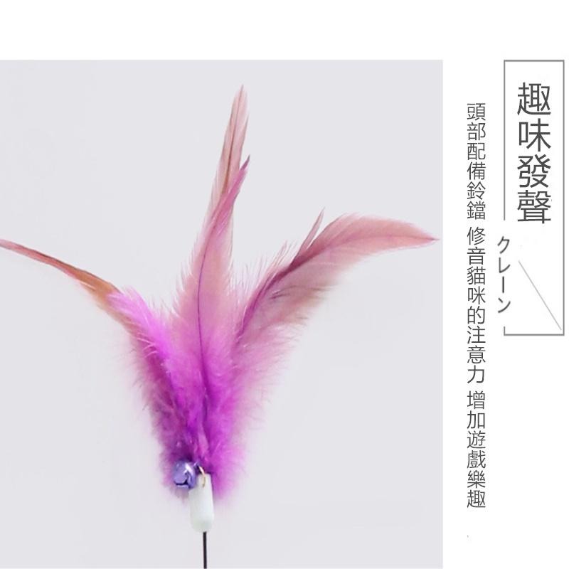 🔴現貨【逗貓棒】鋼絲羽毛鈴鐺逗貓棒 鈴鐺逗貓棒 鈴鐺逗貓棒 逗貓玩具 逗貓棒 貓玩具 寵物用品 寵物玩具-細節圖6