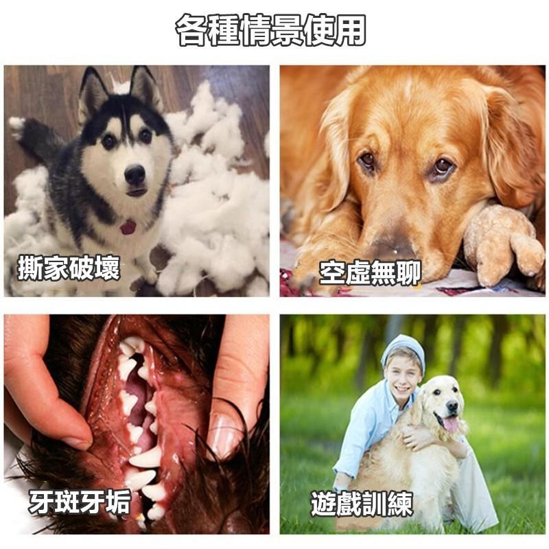 🔴現貨【雞腿發聲玩具】 寵物發聲絨骨頭玩具 貓玩具 狗玩具 啃咬玩具 磨牙玩具 貓咪玩具 狗狗玩具 發聲玩具 玩具-細節圖5