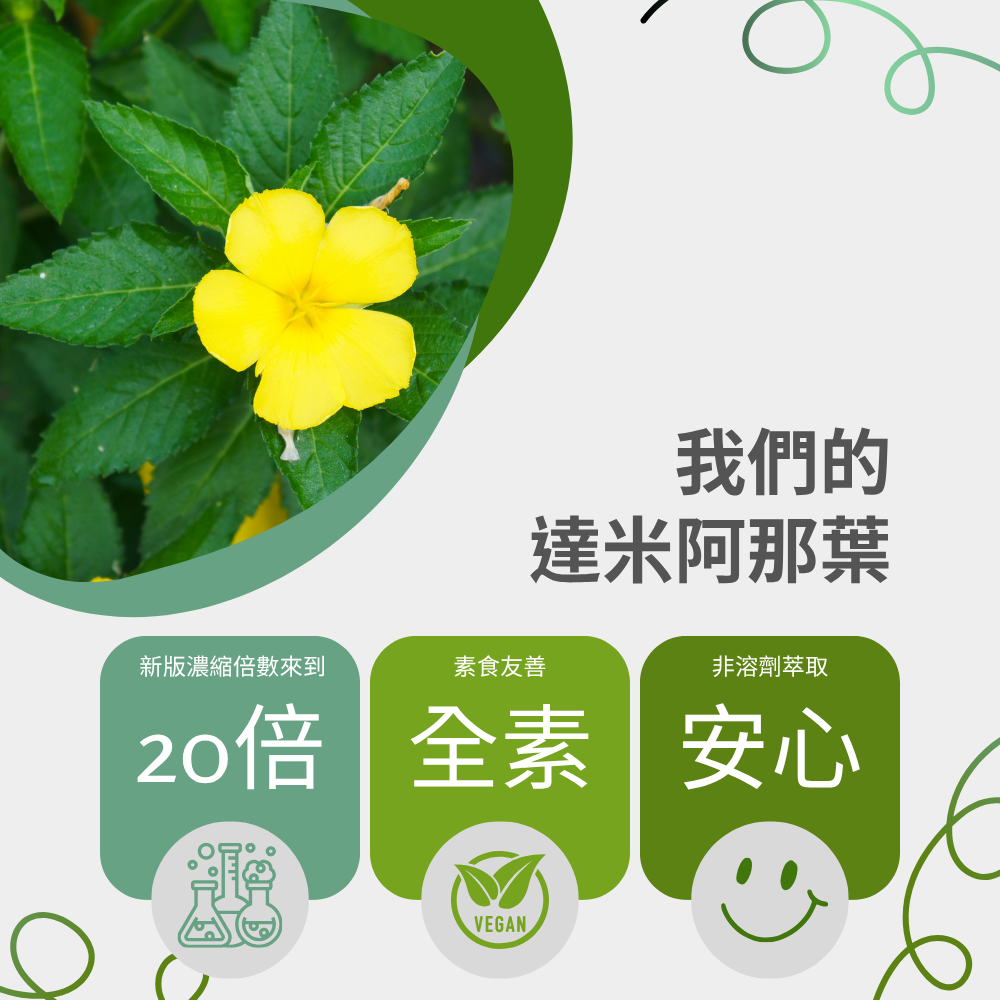 達米阿那葉萃取 透納葉萃取 Damiana 20倍高濃縮 60顆/瓶 全素《UrSupplements》-細節圖2