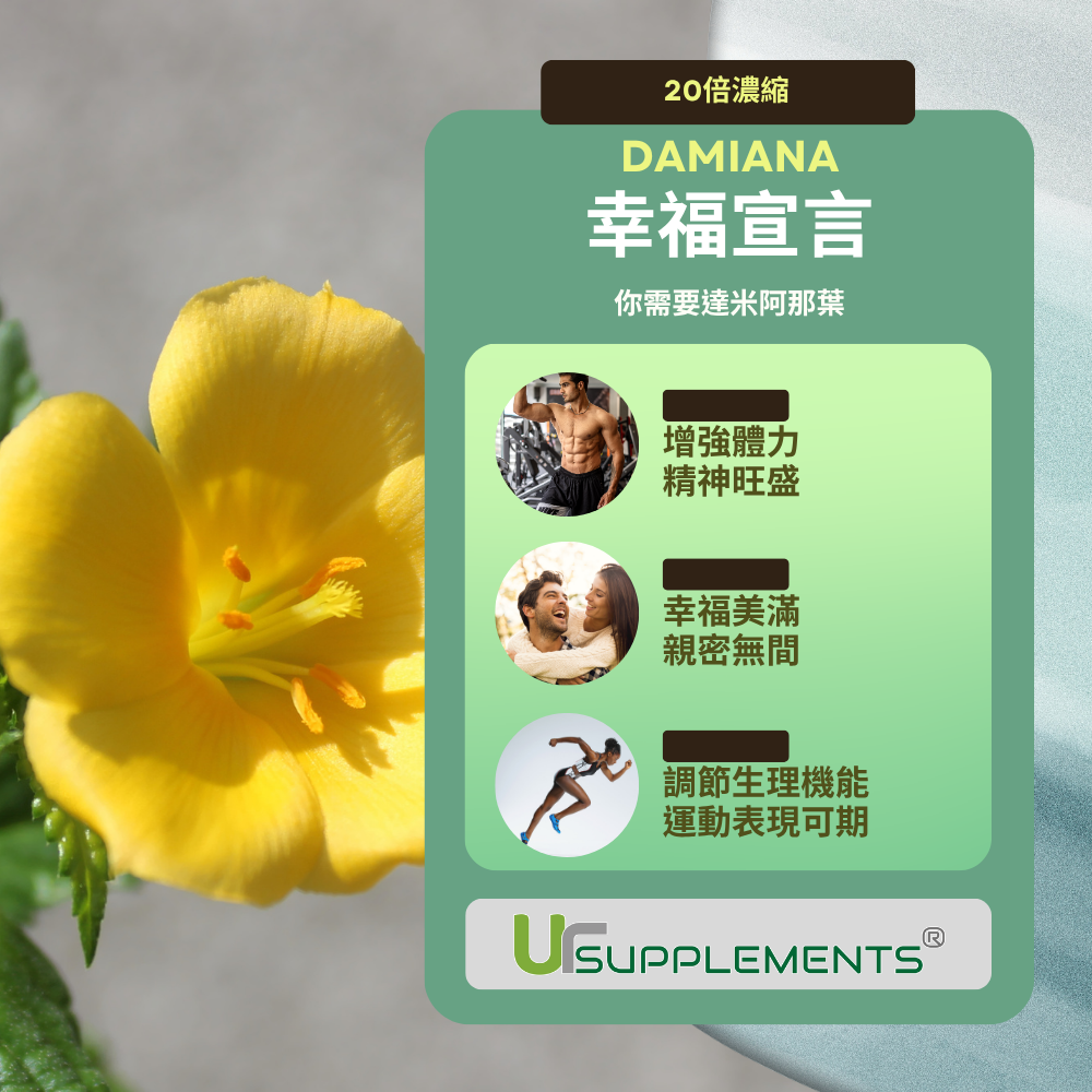 達米阿那葉萃取 透納葉萃取 Damiana 20倍高濃縮 60顆/瓶 全素《UrSupplements》-細節圖3