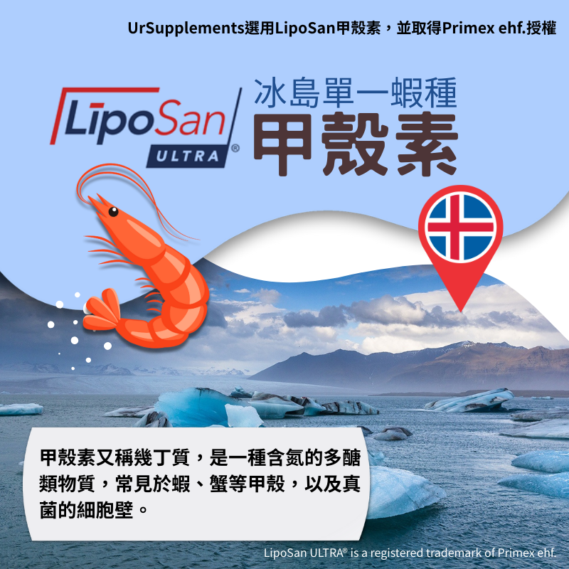 甲殼素膠囊 專利Liposan Ultra Chitosan 500mg/60顆/瓶 非素《UrSupplements》-細節圖2