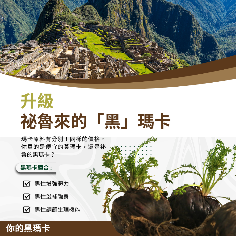 濃縮黑瑪卡 Black MACA Roots Extract 60顆/瓶 非素食《UrSupplements》-細節圖2