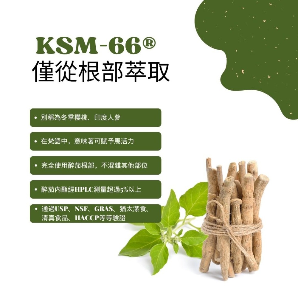 南非醉茄萃取 KSM-66 Ashwagandha 原廠商標授權 250mg/60顆 奶素《UrSupplements》-細節圖2