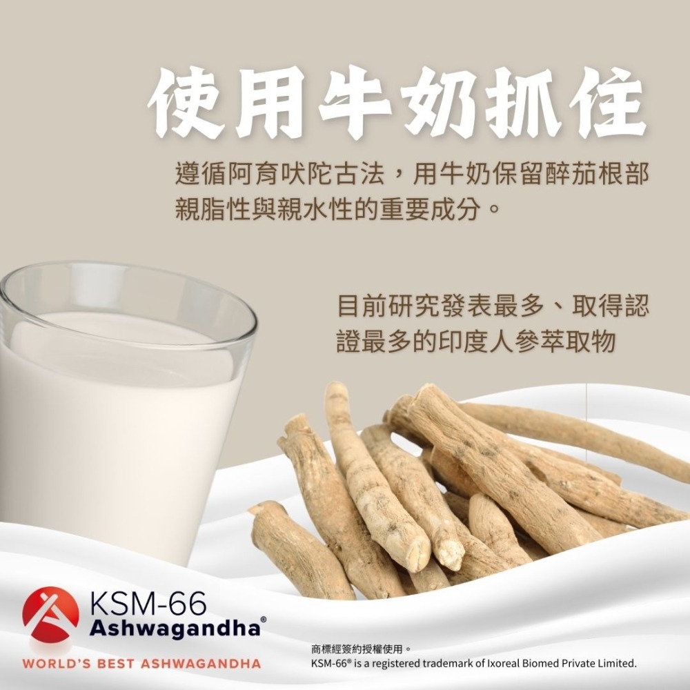 南非醉茄萃取 KSM-66 Ashwagandha 原廠商標授權 250mg/60顆 奶素《UrSupplements》-細節圖3