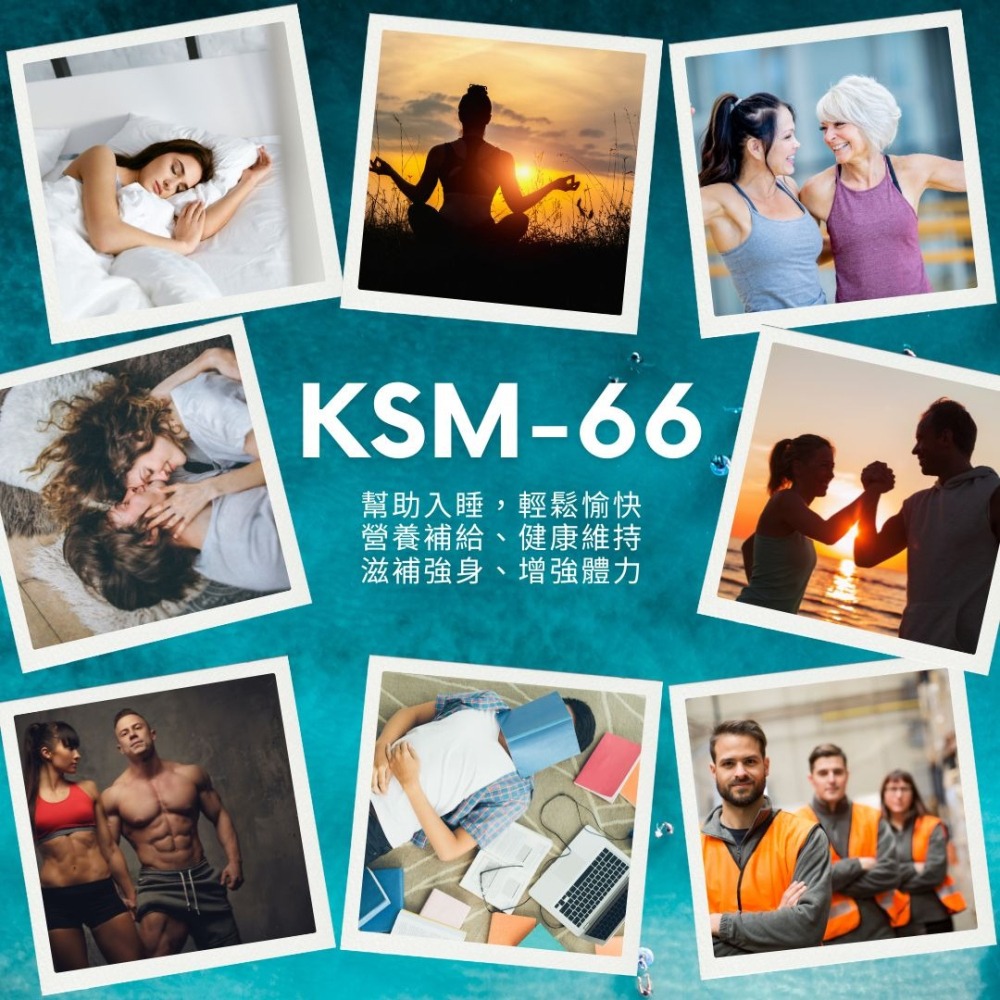 南非醉茄萃取 KSM-66 Ashwagandha 原廠商標授權 250mg/60顆 奶素《UrSupplements》-細節圖5