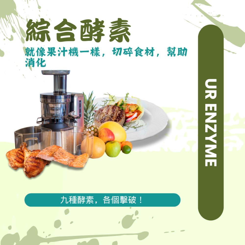 綜合酵素膠囊 Enzyme 9種綜合酵素 60顆/瓶 全素《UrSupplements》-細節圖3
