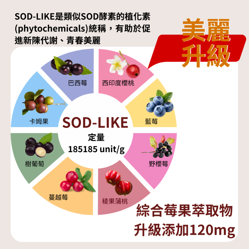 甘露糖+蔓越莓萃取+專利益生菌 私密呵護 定量前花青素30包/袋 全素《UrSupplements》-細節圖6