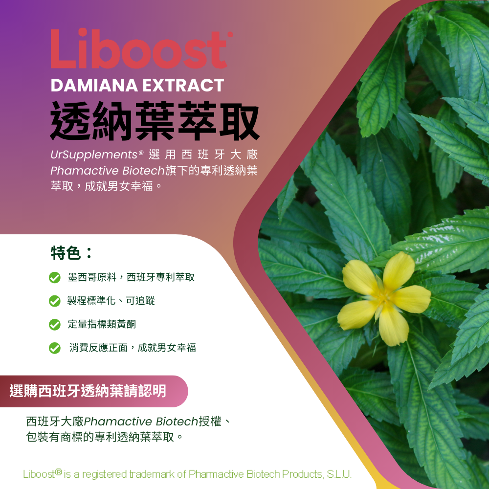 瑪卡+透納葉+螯合鋅膠囊(三合一配方) 全素30顆《UrSupplements》-細節圖4