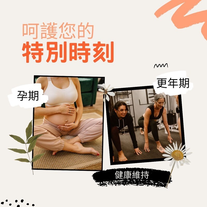 山藥萃取膠囊 Wild Yam 定量薯蕷皂素 天然DHEA來源 250mg/60顆 全素《UrSupplements》-細節圖4