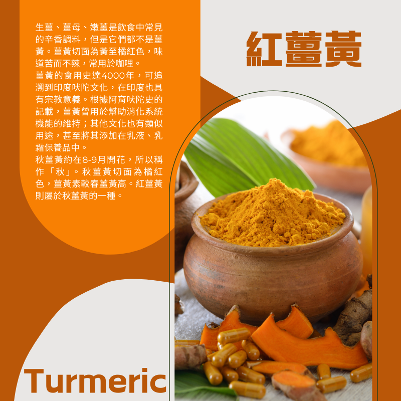 紅薑黃500mg+專利黑胡椒萃取Bioperine 5mg 100顆/瓶 全素《UrSupplements》-細節圖2