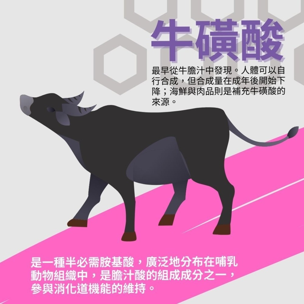 牛磺酸膠囊 日本原料 Taurine 500mg/100顆/瓶 全素《UrSupplements》-細節圖3