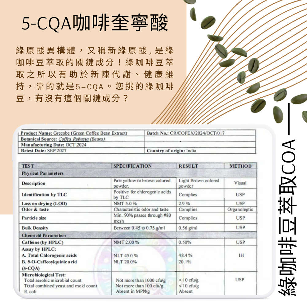綠咖啡豆萃取複合膠囊 額外添加天堂椒萃取/綠茶萃取 定量綠原酸 60顆/瓶 全素《UrSupplements》-細節圖2