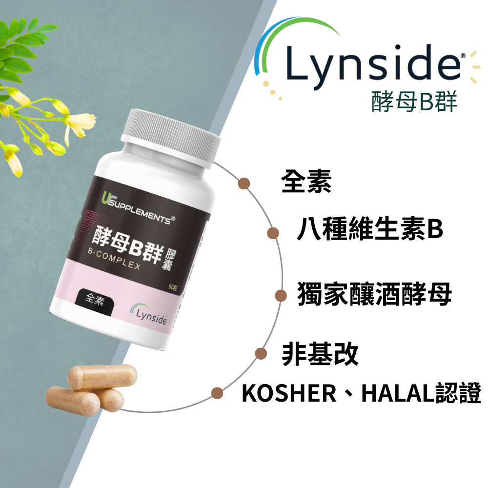 酵母B群 Lynside B Complex 非化學合成 60顆/瓶 全素《UrSupplements》-細節圖2