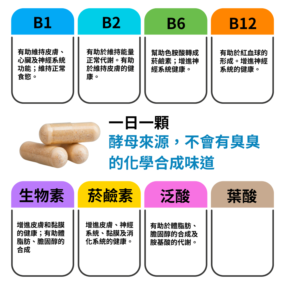 酵母B群 Lynside B Complex 非化學合成 60顆/瓶 全素《UrSupplements》-細節圖3