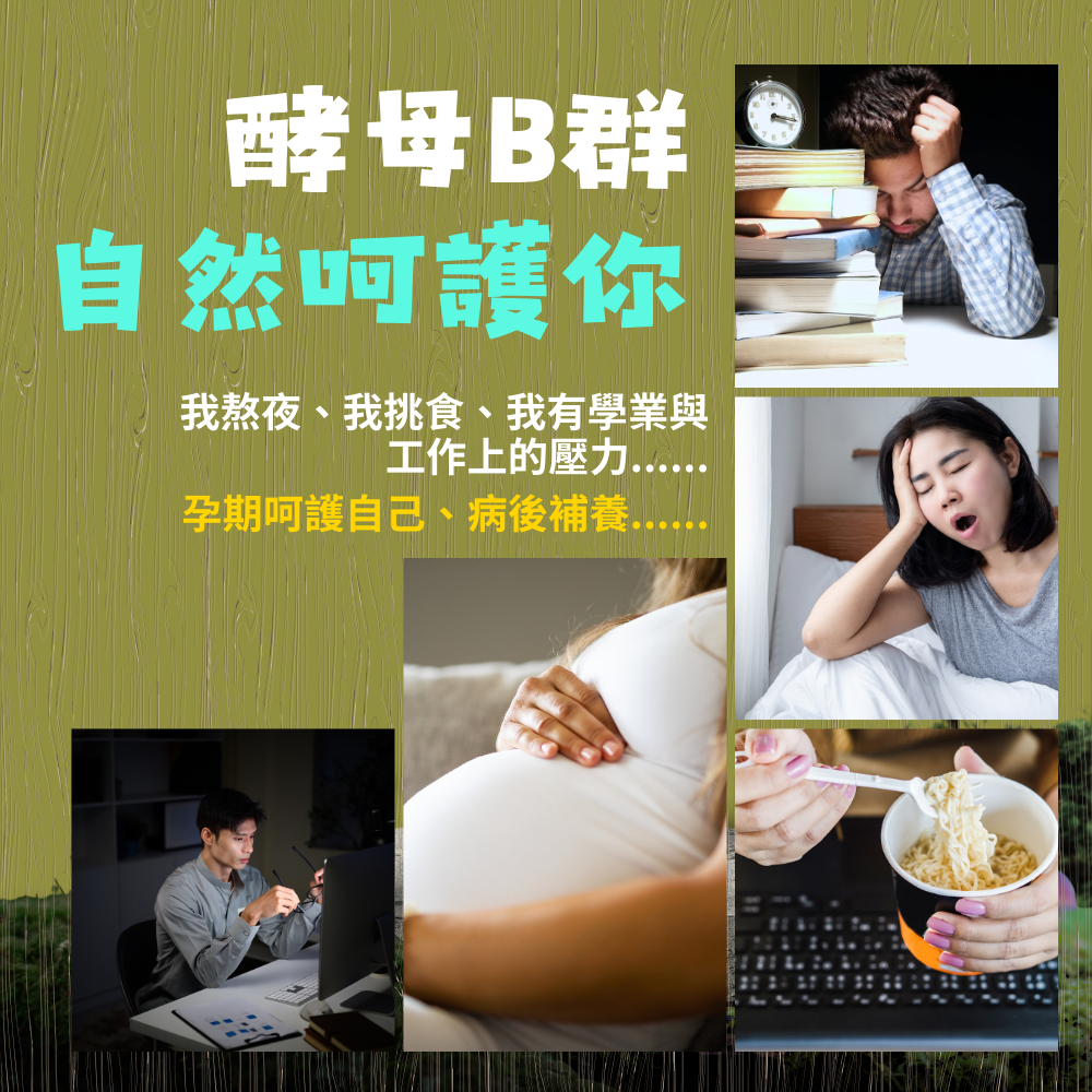 酵母B群 Lynside B Complex 非化學合成 60顆/瓶 全素《UrSupplements》-細節圖4