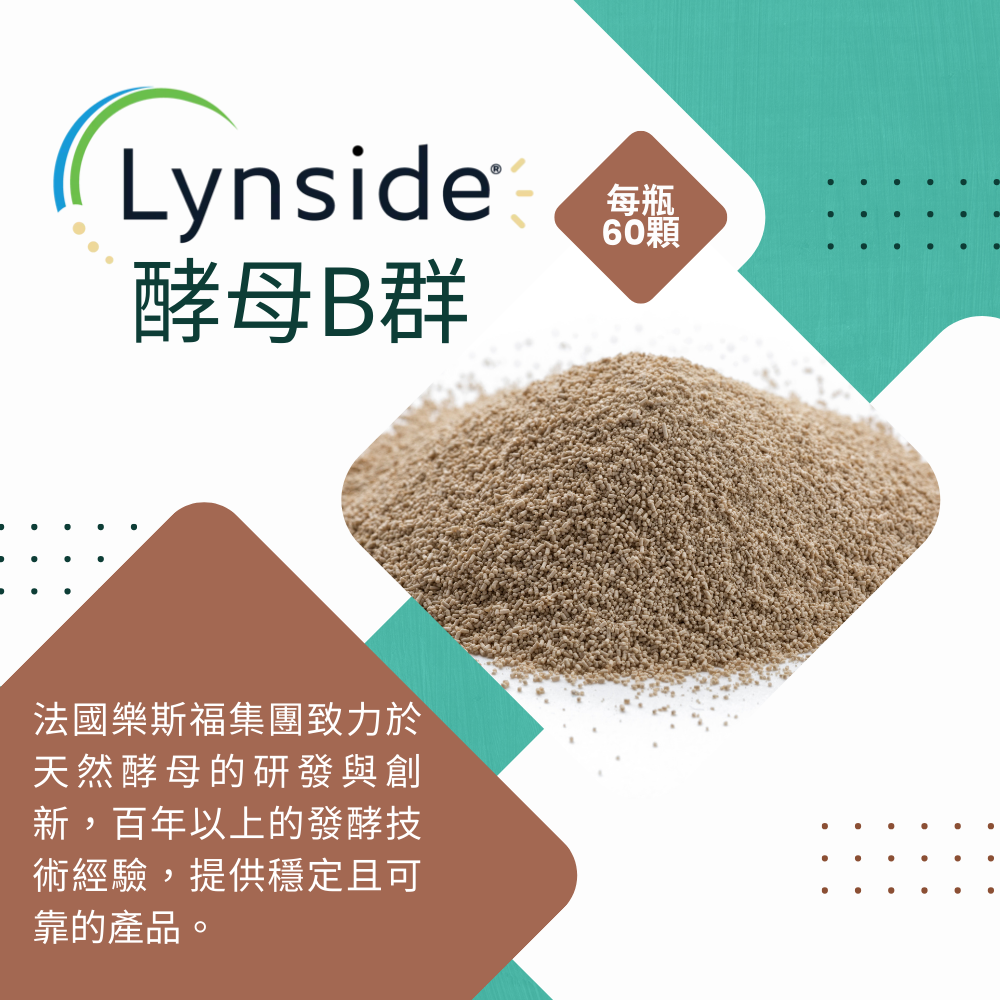 酵母B群 Lynside B Complex 非化學合成 60顆/瓶 全素《UrSupplements》-細節圖5