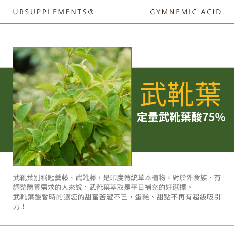 肉桂+桑葉萃取膠囊 添加武靴葉萃取 定量1-DNJ 60顆/瓶 全素《UrSupplements》-細節圖4