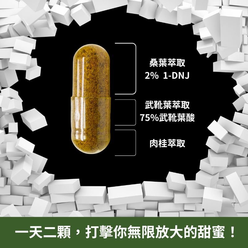 肉桂+桑葉萃取膠囊 添加武靴葉萃取 定量1-DNJ 60顆/瓶 全素《UrSupplements》-細節圖7