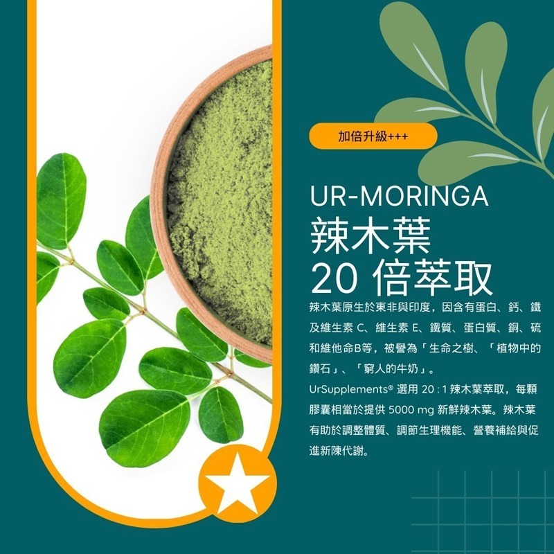 Ur-Moringa 辣木葉萃取膠囊 定量皂苷/20倍濃縮/第三方檢驗合格 (全素)【你的補充品】-細節圖2