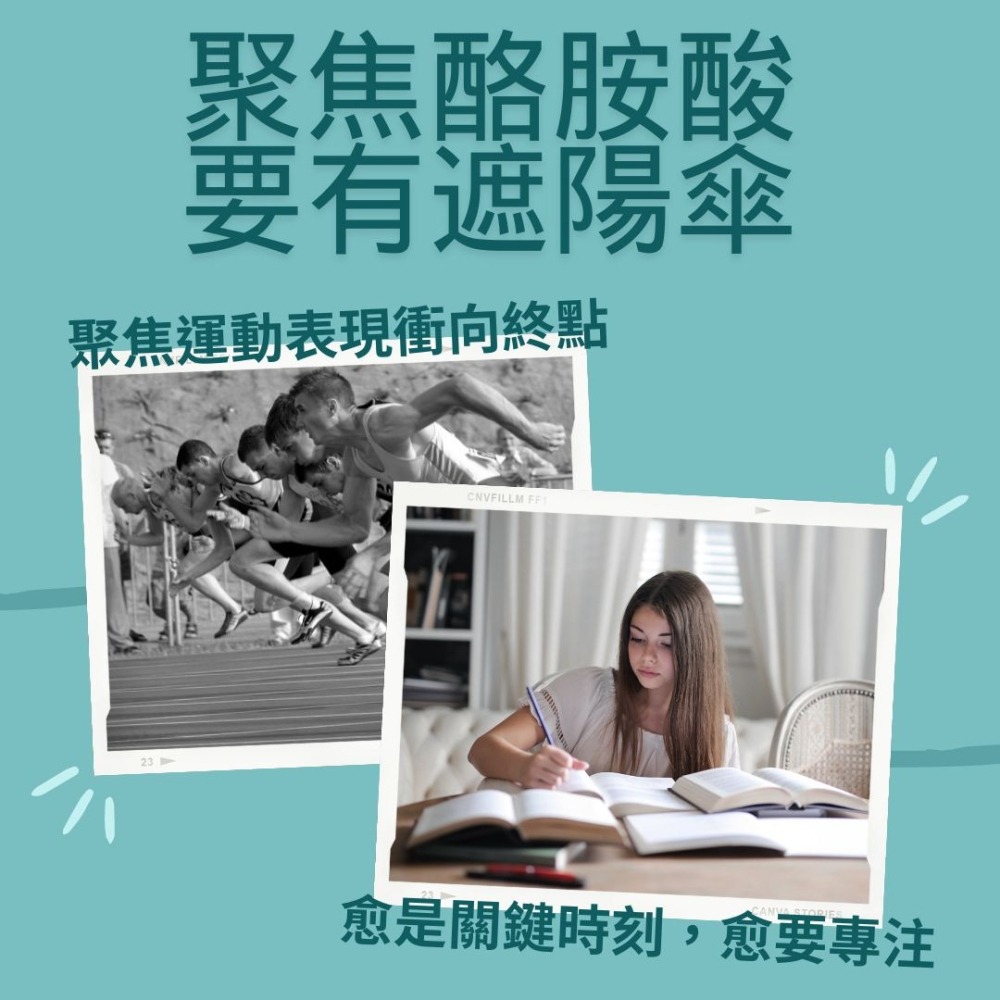 Ur-Tyrosine 左旋酪胺酸 酪胺酸 500mg/顆 60顆/瓶 全素【你的補充品】-細節圖3
