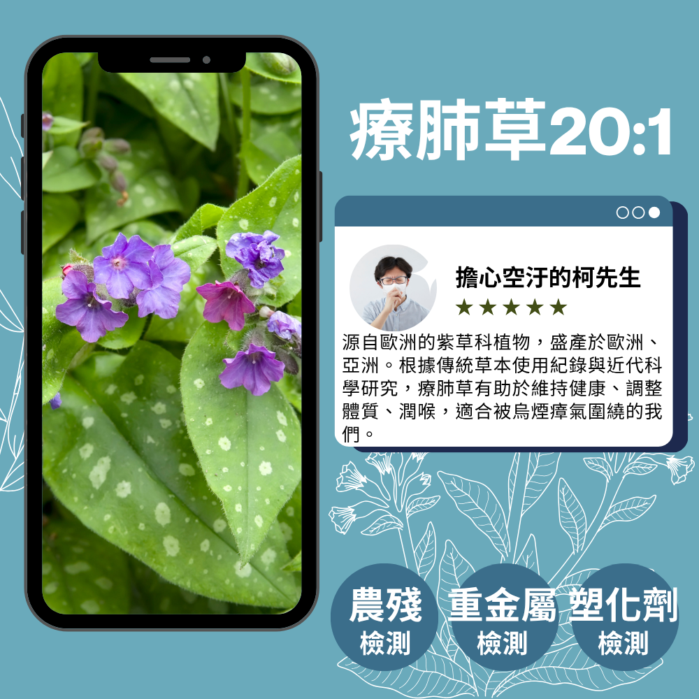 療肺草複合膠囊 Lungwort Complex 添加金銀花+薑 深呼吸配方 60顆 全素《UrSupplements》-細節圖3